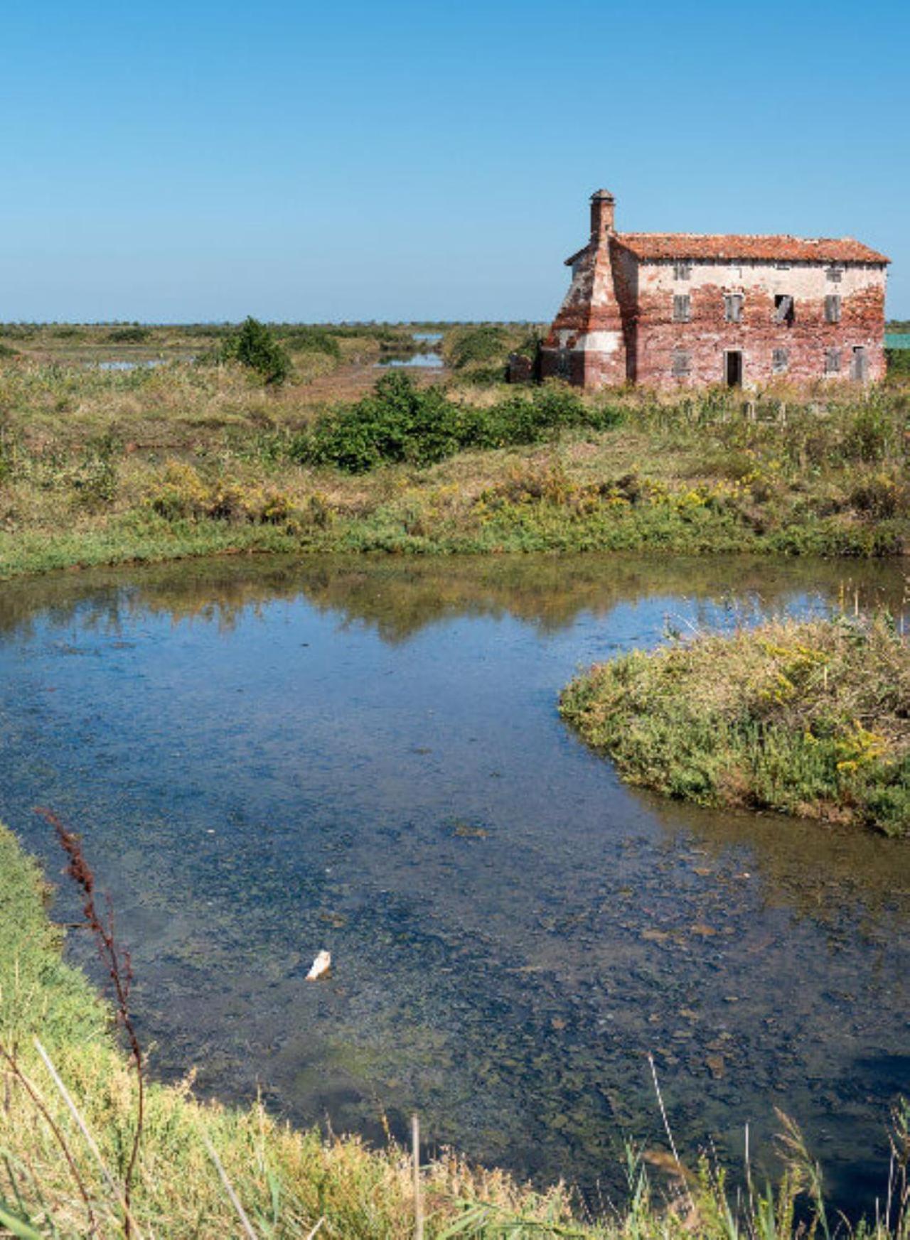 Апартаменти Stella Di Mare - Ca Savio Кавалліно-Трепорті Екстер'єр фото